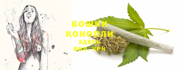 PSILOCYBIN Осташков