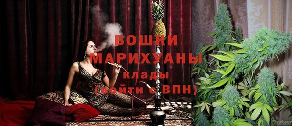PSILOCYBIN Осташков