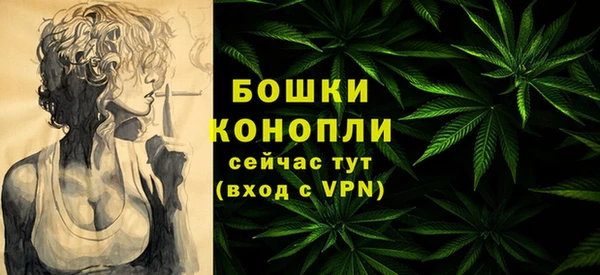 PSILOCYBIN Осташков