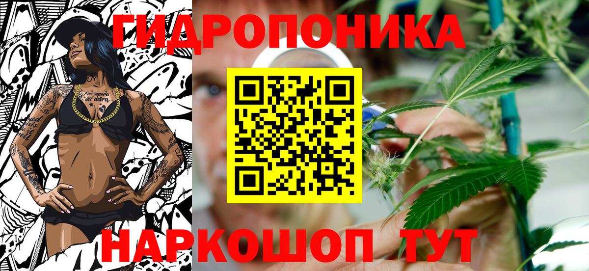 Бошки марихуана OG Kush Урай